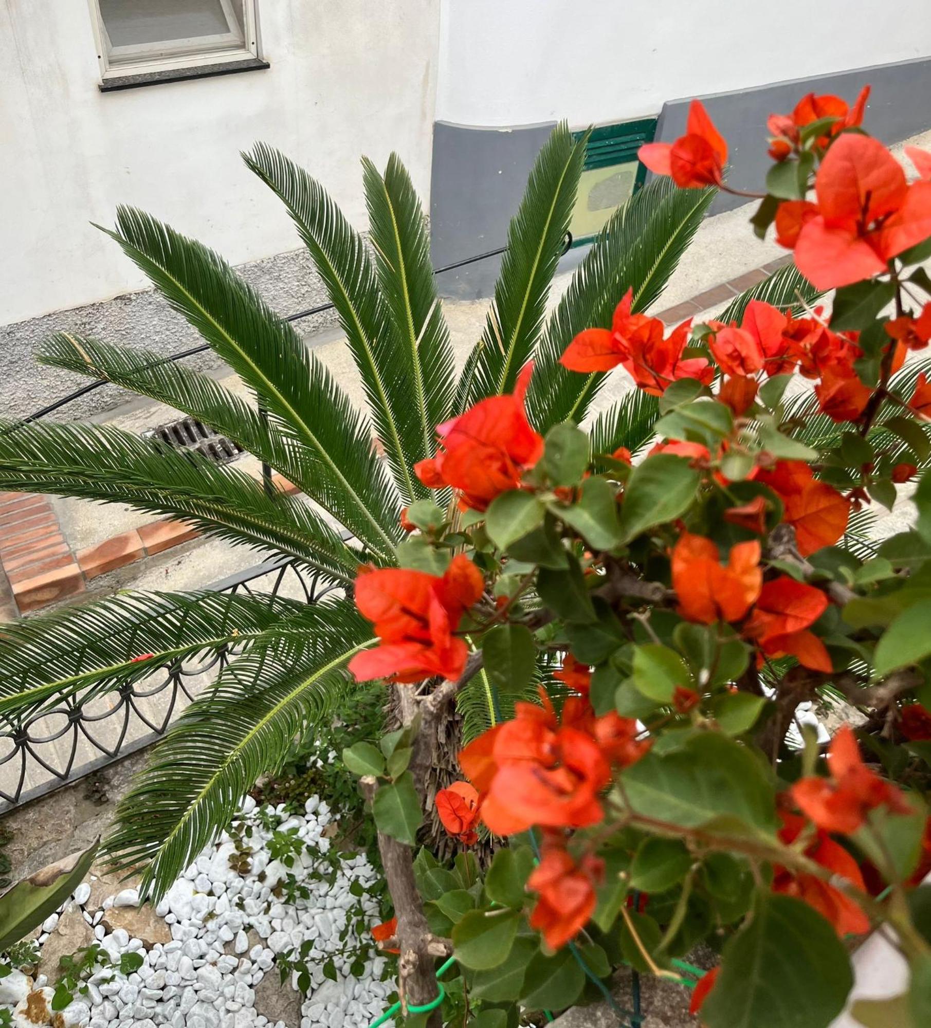 Alle Stelle B&B Anacapri  Luaran gambar