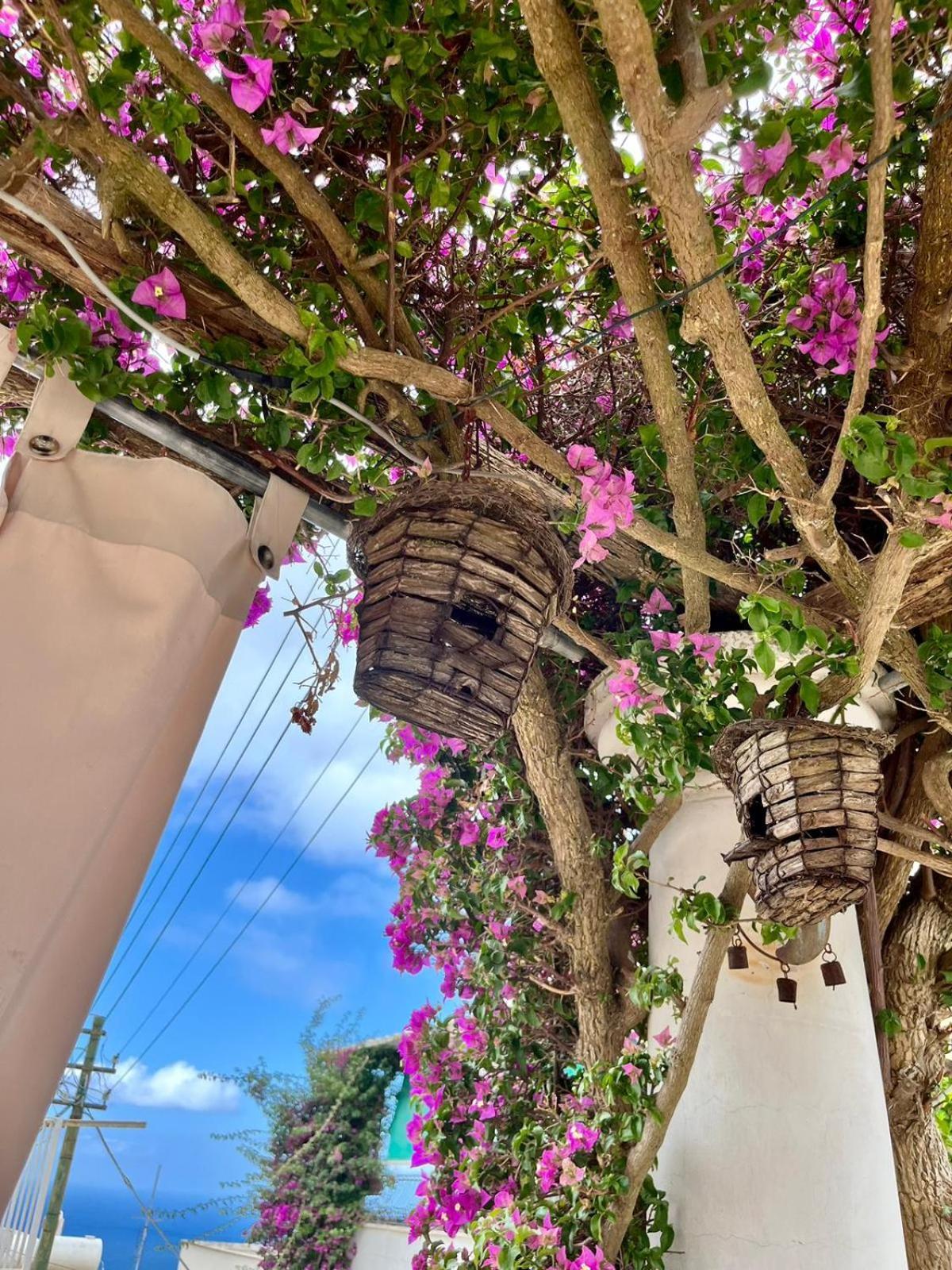 Alle Stelle B&B Anacapri  Luaran gambar