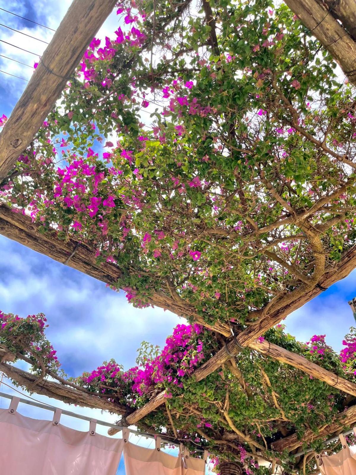 Alle Stelle B&B Anacapri  Luaran gambar